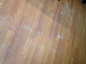 hardwood floor with salt damage
