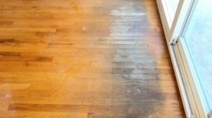 snow damage on hardwood floors